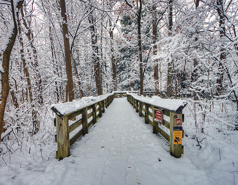 A hiking trail in the winter