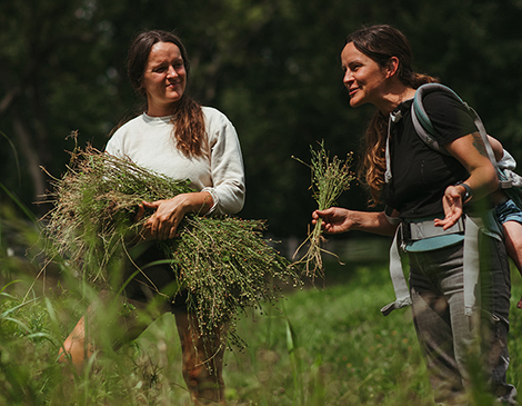 Best Homegrown Textile: Rust Belt Linen Project