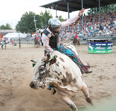 Buckin’ Ohio Brings Rodeo to the Medina County Fair