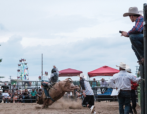 Buckin’ Ohio Brings Rodeo to the Medina County Fair