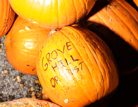 Chagrin Falls Pumpkin Roll