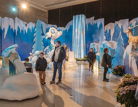 Cleveland Botanical Garden Transforms into Winter Wonderland with Frost Experience