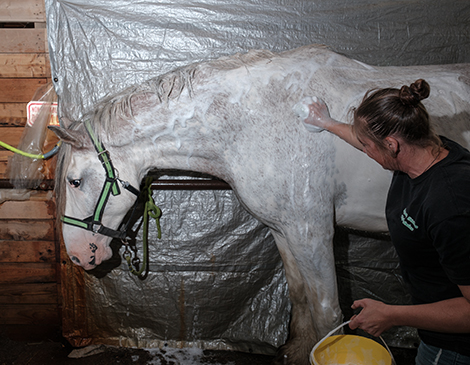 Geauga County Fair Kicks Off its 201st Year: Photos