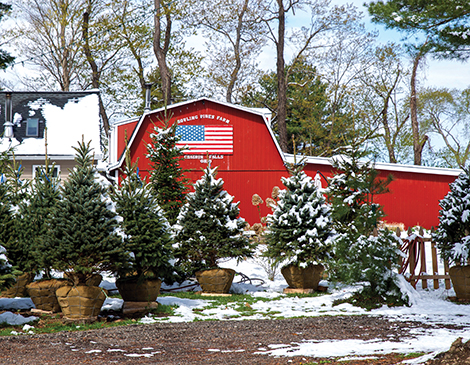 Howling Pines Farm