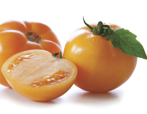 Persimmon Tomato