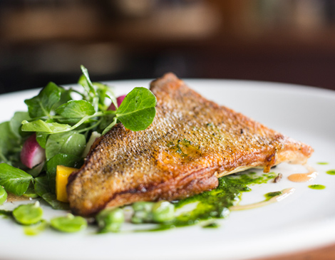 Spice Kitchen and Bar Lake Erie Walleye Spice Kitchen and Bar Lake Erie Walleye