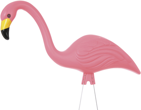 Flamingo Flamingo
