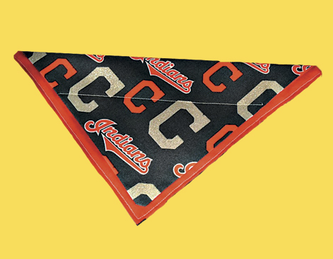 Dog Bandana