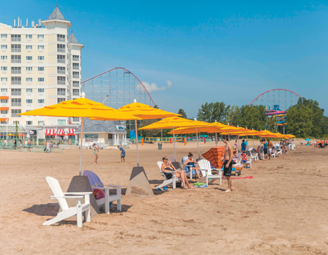 are dogs allowed on cedar point beach