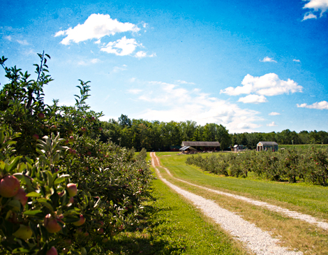 Fruit Farm