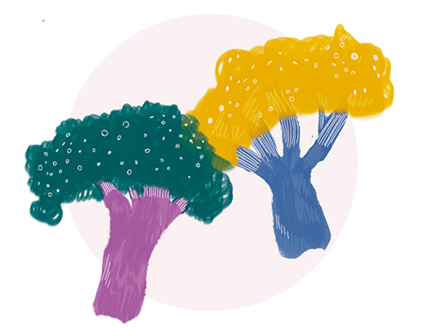Broccoli