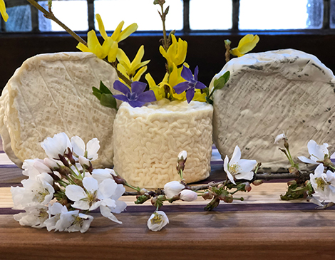 Marchant Manor Cheese