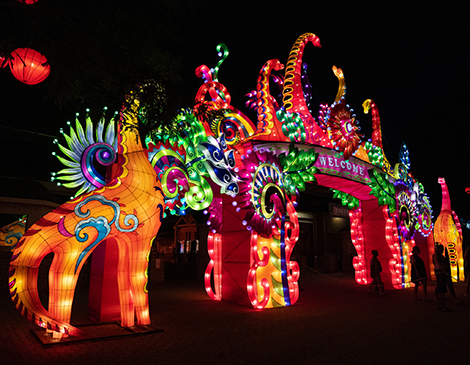 Asian Lantern Festival Returns to the Cleveland Metroparks Zoo
