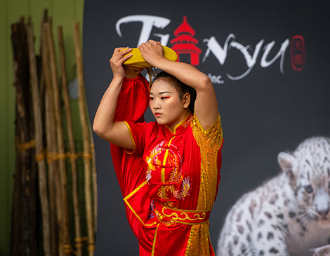 Cleveland Metroparks Asian Lantern Festival
