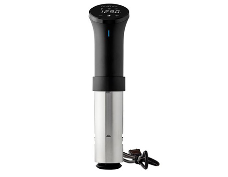 Immersion Circulator