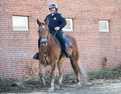 Cleveland's Mounted Police