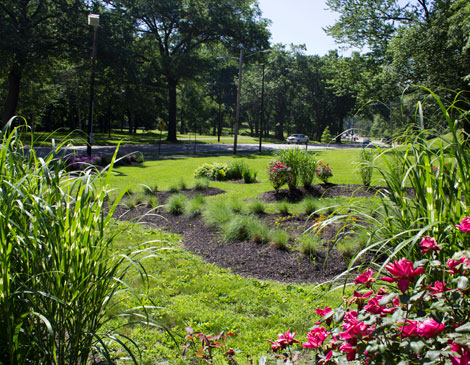 African American Cultural Garden