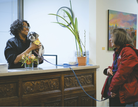 Feeding a dog and taking it for walks creates structure in seniors' days. Feeding a dog and taking it for walks creates structure in seniors' days.
