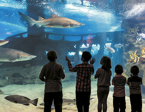 Greater Cleveland Aquarium Greater Cleveland Aquarium