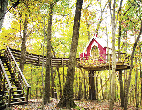 Mohicans Treehouse Resort