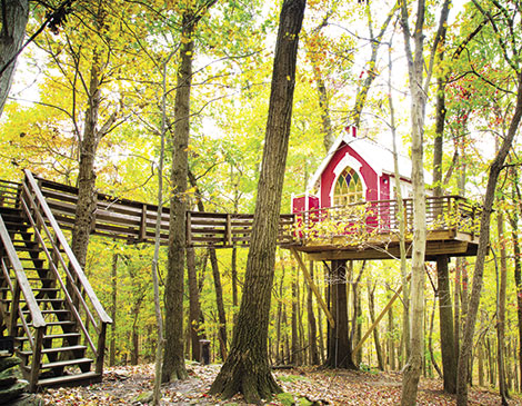 Mohicans Treehouse Resort Mohicans Treehouse Resort