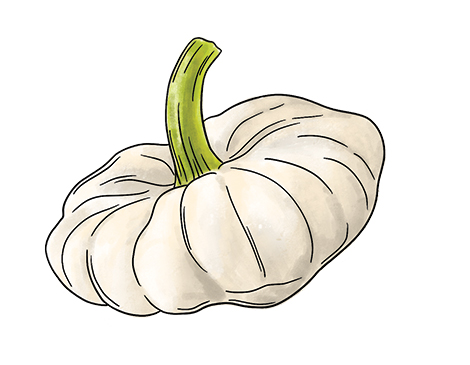 Make The Most Of Your Summer Harvest With Our Guide To Squash