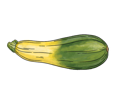 Zephyr Squash