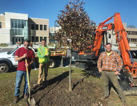 Three men standing around a tree they just planted