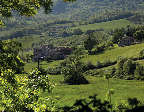 Tuscany Region of Italy, Mark Oprea