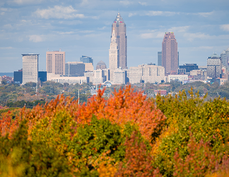 Fall leaves Downtown Cleveland